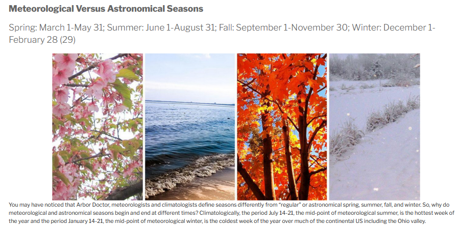 Collage of pink flowers on branches, beach, red tree leaves, and snow